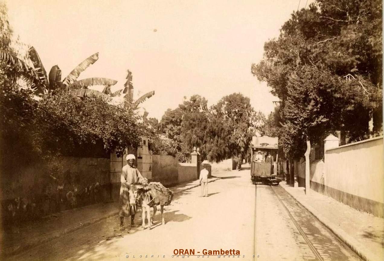 Images d'Algerie 147.jpg